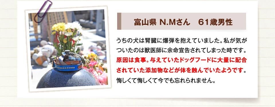 富山県 N.Mさん　61歳男性　うちの犬は腎臓に爆弾を抱えていました。私が気がついたのは獣医師に余命宣告されてしまった時です。原因は食事。与えていたドッグフードに大量に配合されていた添加物などが体を蝕んでいたようです。悔しくて悔しくて今でも忘れられません。