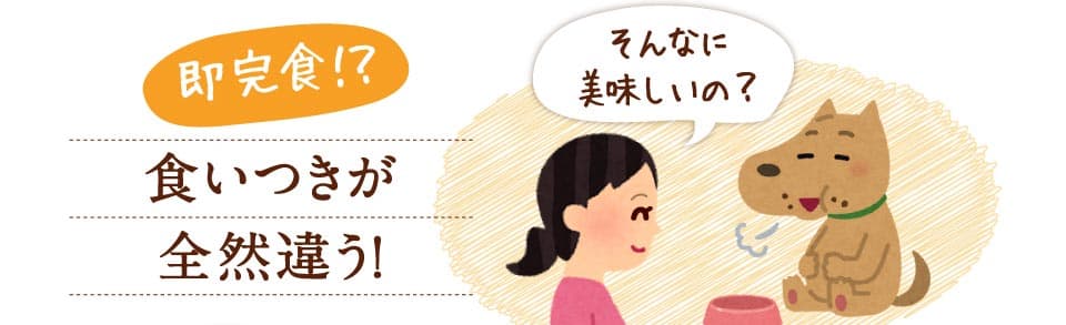 即完食！？　食いつきが全然違う！　そんなに美味しいの。