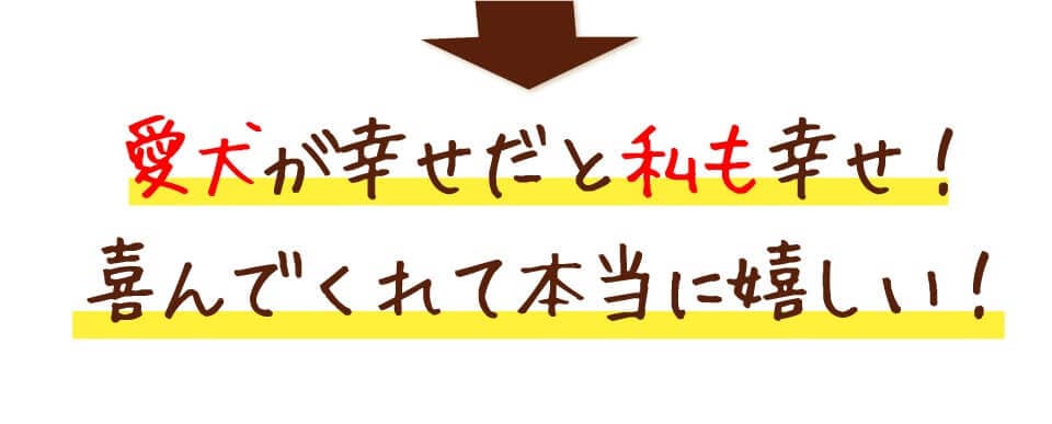 愛犬が幸せだと私も幸せ！喜んでくれて本当に嬉しい。