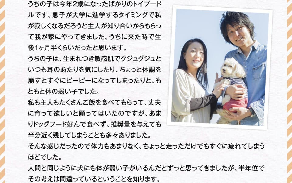 うちの子は今年2歳になったばかりのトイプードルです。息子が大学に進学するタイミングで私が寂しくなるだろうと主人が知り合いからもらって我が家にやってきました。うちに来た時で生後1ヶ月半くらいだったと思います。うちの子は、生まれつき敏感肌でグジュグジュといつも耳のあたりを気にしたり、ちょっと体調を崩すとすぐにピーピーになってしまったりと、もともと体の弱い子でした。私も主人もたくさんご飯を食べてもらって、丈夫に育って欲しいと願ってはいたのですが、あまりドッグフード好んで食べず、推奨量を与えても半分近く残してしまうことも多々ありました。そんな感じだったので体力もあまりなく、ちょっと走っただけでもすぐに疲れてしまうほどでした。人間と同じように犬にも体が弱い子がいるんだとずっと思ってきましたが、半年位でその考えは間違っているということを知ります。