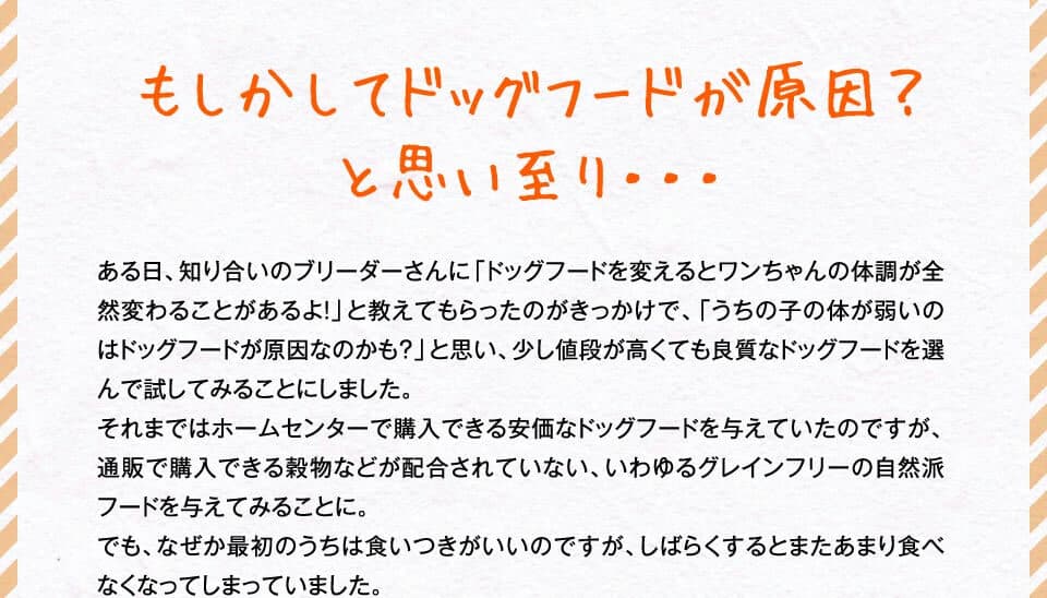 もしかしてドッグフードが原因？と思い至り・・・　ある日、知り合いのブリーダーさんに「ドッグフードを変えるとワンちゃんの体調が全然変わることがあるよ！」と教えてもらったのがきっかけで、「うちの子の体が弱いのはドッグフードが原因なのかも？」と思い、少し値段が高くても良質なドッグフードを選んで試してみることにしました。それまではホームセンターで購入できる安価なドッグフードを与えていたのですが、通販で購入できる穀物などが配合されていない、いわゆるグレインフリーの自然派フードを与えてみることに。でも、なぜか最初のうちは食いつきがいいのですが、しばらくするとまたあまり食べなくなってしまっていました。