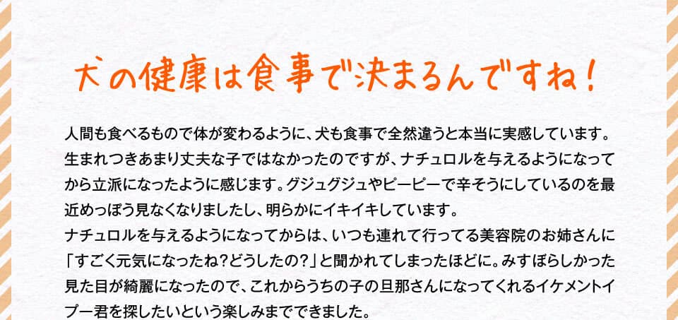 犬の健康は食事で決まるんですね！　人間も食べるもので体が変わるように、犬も食事で全然違うと本当に実感しています。生まれつきあまり丈夫な子ではなかったのですが、ナチュロルを与えるようになってから立派になったように感じます。グジュグジュやピーピーで辛そうにしているのを最近めっぽう見なくなりましたし、イキイキしています。ナチュロルを与えるようになってからは、いつも連れて行ってる美容院のお姉さんに「すごく元気になったね？どうしたの？」と聞かれてしまったほどに。みすぼらしかった見た目が綺麗になったので、これからうちの子の旦那さんになってくれるイケメントイプー君を探したいという楽しみまでできました。