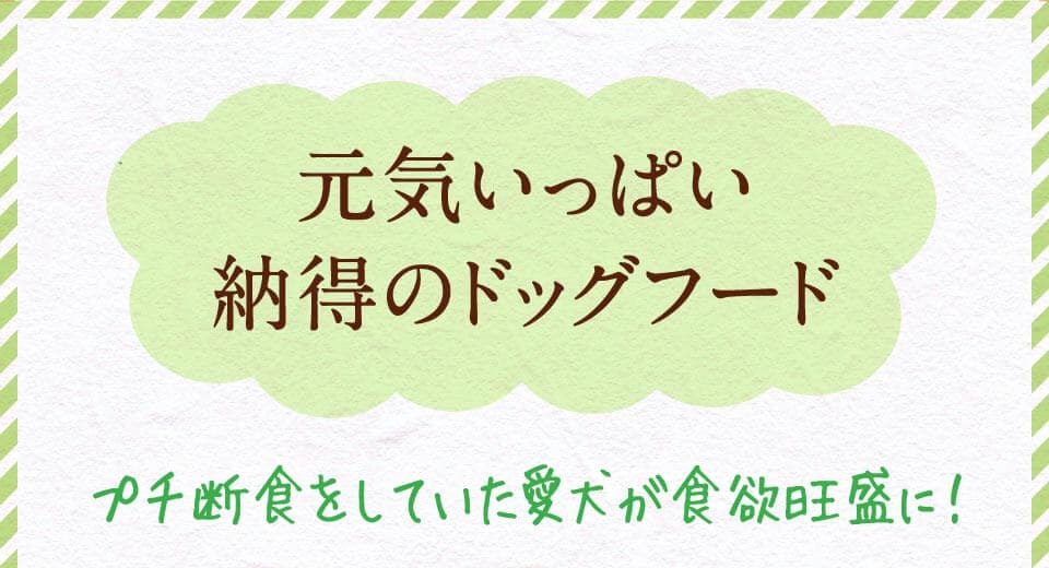 元気いっぱい納得のドッグフード　プチ断食をしていた愛犬が食欲旺盛に。