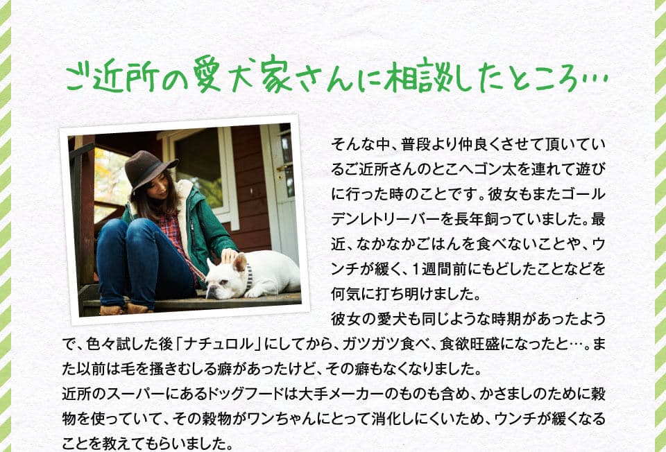 ご近所の愛犬家さんに相談したところ…　そんな中、普段より仲良くさせて頂いているご近所さんのとこへゴン太を連れて遊びに行った時のことです。彼女もまたゴールデンレトリーバーを長年飼っていました。最近、なかなかごはんを食べないことや、ウンチが緩く、1週間前にもどしたことなどを何気に打ち明けました。彼女の愛犬も同じような時期があったようで、色々試した後「ナチュロル」にしてから、ガツガツ食べ、食欲旺盛になったと…。また以前は毛を掻きむしる癖があったけど、その癖もなくなり近所のスーパーにあるドッグフードは大手メーカーのものも含め、かさましのために穀物を使っていて、その穀物がワンちゃんにとって消化しにくいため、ウンチが緩くなることを教えてもらいました。