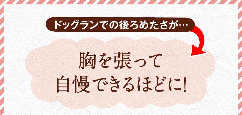 ドッグランでの後ろめたさが…　胸を張って自慢できるほどに。