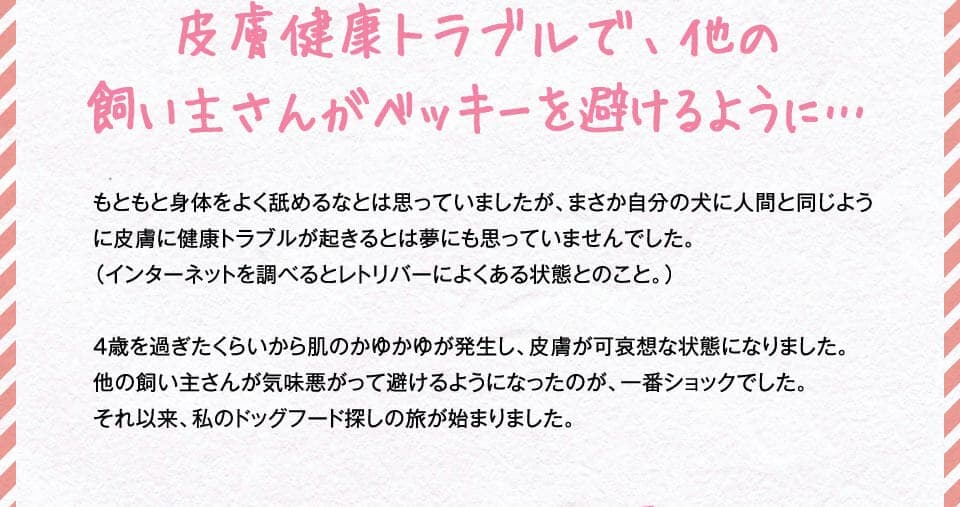 皮膚健康トラブルで、他の飼い主さんがベッキーを避けるように…　もともと身体をよく舐めるなとは思っていましたが、まさか自分の犬に人間と同じように皮膚に健康トラブルが起きるとは夢にも思っていませんでした。（インターネットを調べるとレトリバーによくある状態とのこと。）4歳を過ぎたくらいから肌のかゆかゆが発生し、皮膚が可哀想な状態になりました。他の飼い主さんが気味悪がって避けるようになったのが、一番ショックでした。それ以来、私のドッグフード探しの旅が始まりました。