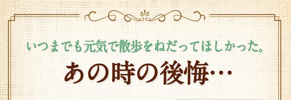 いつまでも元気で散歩をねだってほしかった。　あの時の後悔…　タンゴ オス（リッジバック）