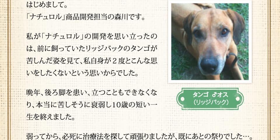 はじめまして。「ナチュロル」商品開発担当の森川です。私が「ナチュロル」の開発を思い立ったのは、前に飼っていたリッジバックのタンゴが苦しんだ姿を見て、私自身が２度とこんな思いをしたくないという思いからでした。晩年、後ろ脚を患い、立つこともできなくなり、本当に苦しそうに衰弱し10歳の短い一生を終えました。弱ってから、必死に治療法を探して頑張りましたが、既にあとの祭りでした…。