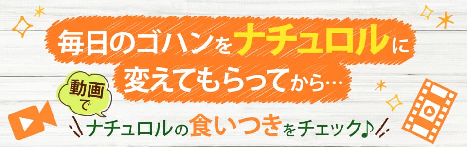 毎日のゴハンを ナチュロルに変えてもらってから…動画でナチュロルの食いつきをチェック♪