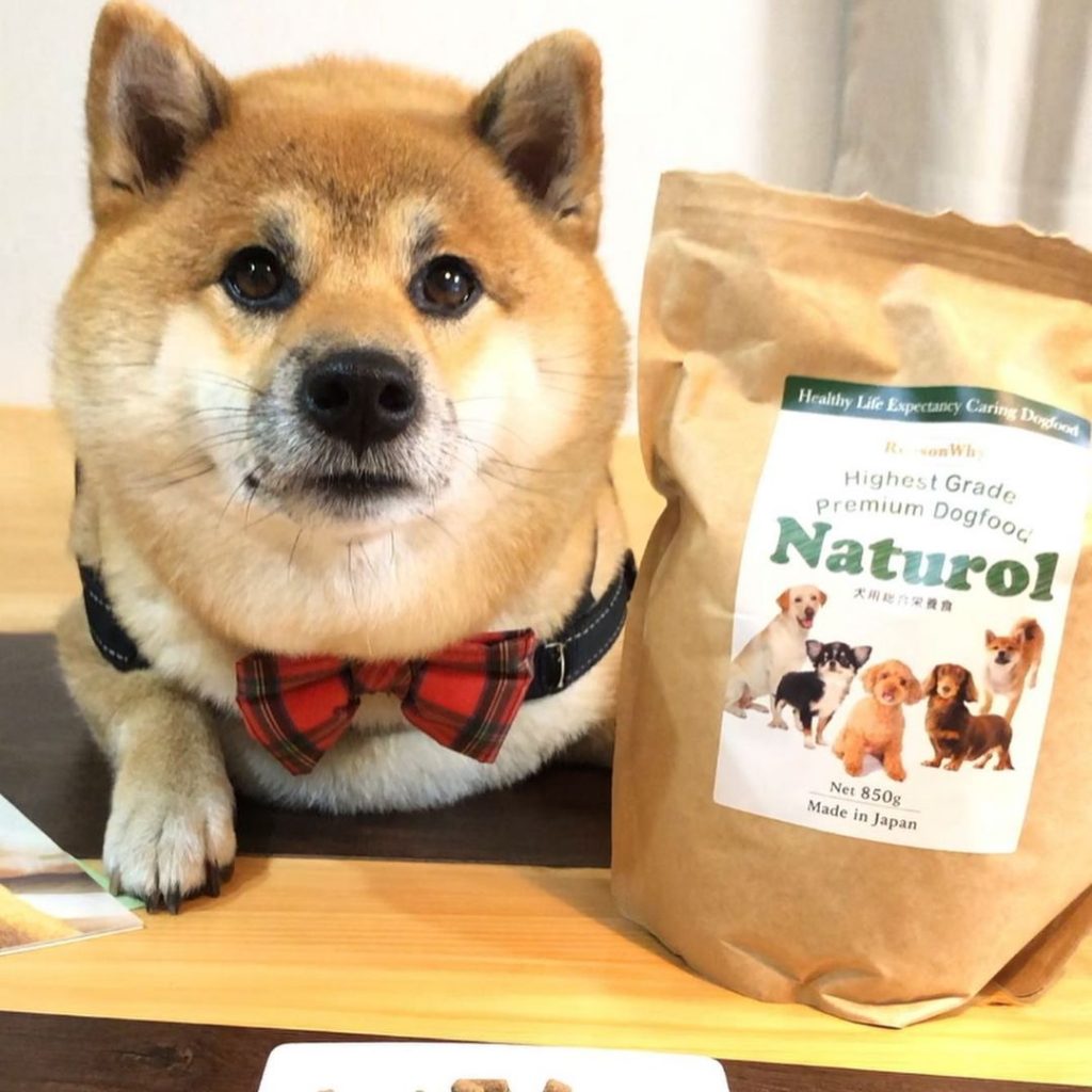 ナチュロル　ドッグフード850g✕3袋新品、未開封 ナチュロル プレミアムドッグフード 850g 日本製 - メルカリ